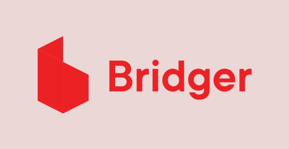 Bridger Digital Solutions